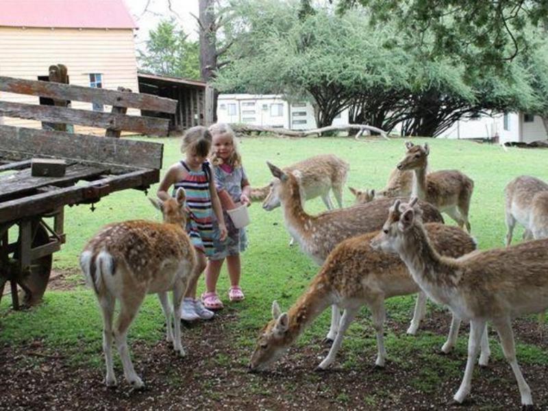 Deer Park Motor Inn Armidale Esterno foto